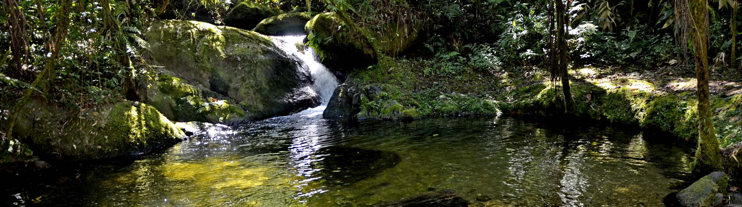 Atrações - Poço da Areia - Sítio Cachoeiras do Alcantilado em Visconde de Mauá